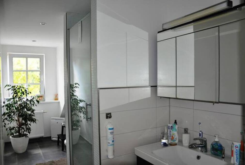 Wunderschoene Loft-Stadtwohnung Würzburg Exterior foto